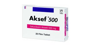 aksef500.jpg aksef500.jpg